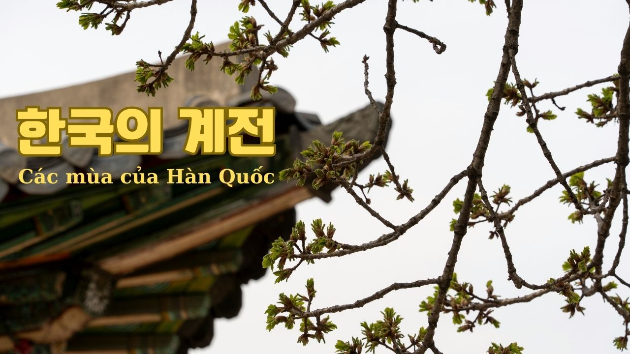 KHÁM PHÁ 4 MÙA HÀN QUỐC 